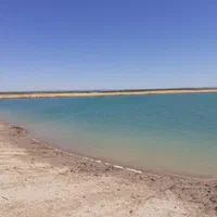 «۴۲هکتار /بهره برداری/سرمایه گذاری»