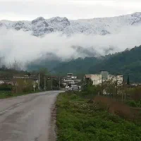 باغ آماده ۵۷۴ متر شموشک بالا(قیمت مناسب)|فروش زمین و ملک کلنگی|گرگان, |دیوار