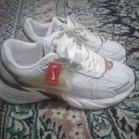 کفش کتونی|کیف، کفش، کمربند|کوهدشت, |دیوار