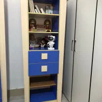 کمد لباس و کتاب. خانه|کتابخانه، شلف، قفسه‌های دیواری|بندرعباس, |دیوار