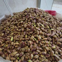 100کیلو مغز پسته کله قوچی|خوردنی و آشامیدنی|اصفهان, سرچشمه|دیوار