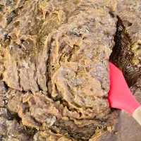 صابون پسماند روغن گیاهی 2 تن