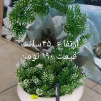 مصنوعی با د ام قابل شستشو تولید به مصرف