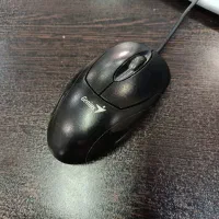 دو عدد موس اداری سالم