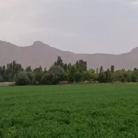 زمین-مسکونی-در-قلعه-موتور