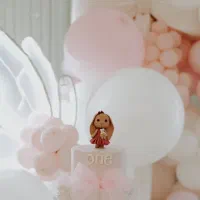 برگزاری مراسم تولد کودک|خدمات پذیرایی، مراسم|کرج, جهانشهر|دیوار