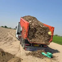 خریدار کود مرغی گوشتی هستم نقدی سر باسکول تسویه