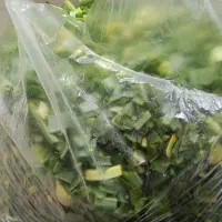 شلوک خرد شده  شل