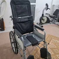 ویلچر تخت شو لگن دار
