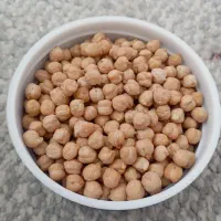 نخود سفید