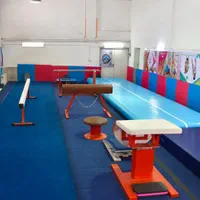 برا اولین بار درسبزوار باشگاه تخصصی ژیمناستیک آرین