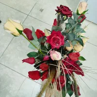 گل رز(۲۶عدد)