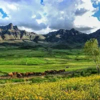 تور مسافرتی شمال (آمل) . اقتصادی