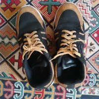 کتونی|کیف، کفش، کمربند|قم, شهر قائم|دیوار