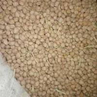 نخود درجه یک|خوردنی و آشامیدنی|فیروزآباد (لرستان), |دیوار