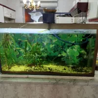 آکواریوم کارکرده