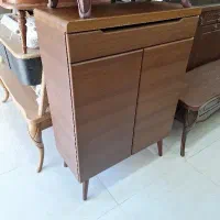 جاکفشی شاهان شرکتی