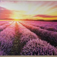 تابلو دکوراتیو ۴۰*۶۰