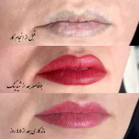 شیدینگ لب تخصصی