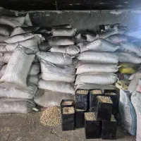 کارگر زغال سازی