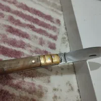 چاقو دسته شاخ|کلکسیون اشیاء عتیقه|کرمانشاه, |دیوار