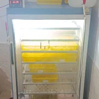 دستگاه جوجه کشی بلدرچین دماوند