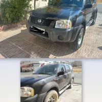 پولیش ورفع آفتاب سوختگی. احیا رنگ. نقاشی