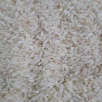 برنج عنبربو خوزستان