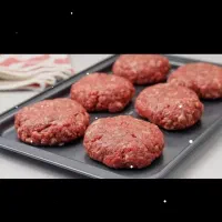 برگر 100در 100 گوشت حرفه‌ای