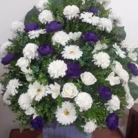 گل مصنوعی|گل مصنوعی|ارومیه, |دیوار