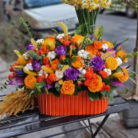 گل گیاه فروشنده آقا جهت کار در گلفروشی