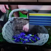 تلویزیون 32اینچ LED پاناسونیک