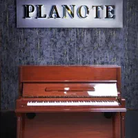 دیجیتال پیانوهای دیجیتال|پیانو، کیبورد، آکاردئون|گناباد, |دیوار