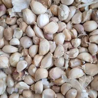 سیرخوب اعلا