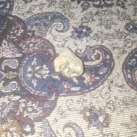 سنگ|کلکسیون اشیاء عتیقه|اصفهان, دانشگاه اصفهان|دیوار