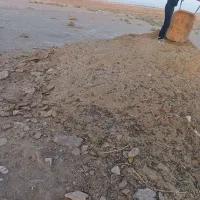 بار کود گوسفند|حیوانات مزرعه|سبزوار, قصبه شرقی|دیوار