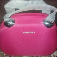 اپلیدی پرنسلی