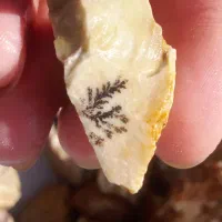 عقیق شجر جاسپر