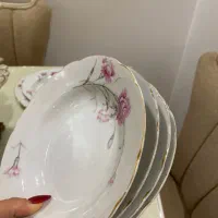 ظروف چینی گل میخکی|ظروف سرو و پذیرایی|مشهد, هنرستان|دیوار