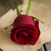 دعا بازگشت معشوق