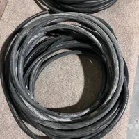 معاوضه کبوتر دمگیر خرقه با کابل برق|پرنده|برخوار, |دیوار