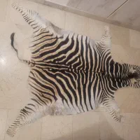 پوست