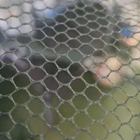 گرگور تور بچه ماهی|ماهیگیری|اصفهان, باغ فدک|دیوار