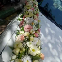 ماشین عروس|گل و گیاه طبیعی|مشهد, رده|دیوار