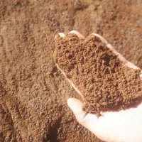 پوکه معدنی قروه کردستان|مصالح و تجهیزات ساختمان|کرج, شهرک پردیسان|دیوار