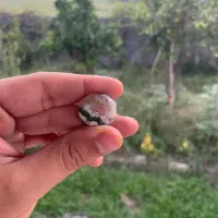 عقیق شجرخزه ای کمیاب