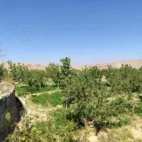 فروش باغ ویلایی دراسکو|فروش زمین و ملک کلنگی|اسکو, |دیوار