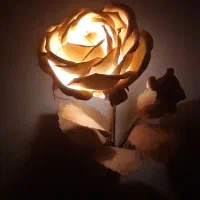 اباژور طرح گل رز