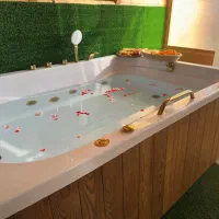 کلبه سوئیسی جکوزی دار