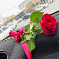 بیمه جنگ . آتش سوزی . حوادث و .‌‌